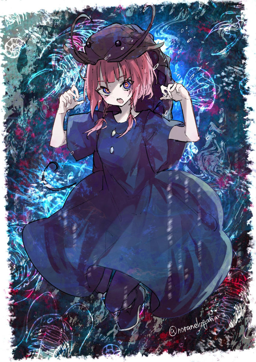 1girl :o abstract_background air_bubble animal_background animal_on_head blue_dress blue_eyes blue_footwear blue_pantyhose border braid bubble clam claw_pose commentary_request dress full_body hair_over_shoulder highres horseshoe_crab kaf_(kamitsubaki_studio) kamitsubaki_studio long_hair looking_at_viewer low_twin_braids multicolored_eyes noranekogahara on_head pantyhose pink_hair red_eyes shell shoes short_sleeves solo trilobite twin_braids twitter_username virtual_youtuber white_border yellow_pupils