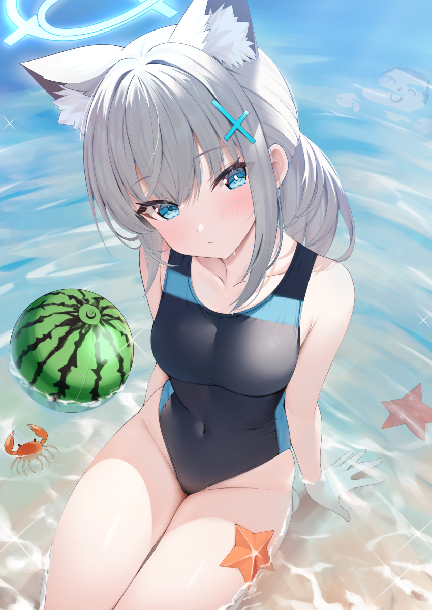 1girl absurdres animal_ear_fluff animal_ears arm_support armpit_crease ball beachball black_one-piece_swimsuit blue_archive blue_eyes blue_halo blue_one-piece_swimsuit blush breasts closed_mouth commentary competition_swimsuit covered_navel crab cross cross_hair_ornament day diffraction_spikes doodle_sensei_(blue_archive) expressionless extra_ears grey_hair groin hair_ornament halo head_tilt highleg highleg_swimsuit highres inverted_cross looking_at_viewer low_ponytail medium_breasts medium_hair mismatched_pupils multicolored_clothes multicolored_swimsuit ocean official_alternate_costume one-piece_swimsuit outdoors rei_(ilust9999) sensei_(blue_archive) shiroko_(blue_archive) shiroko_(swimsuit)_(blue_archive) sitting solo starfish swimsuit two-tone_swimsuit water wolf_ears
