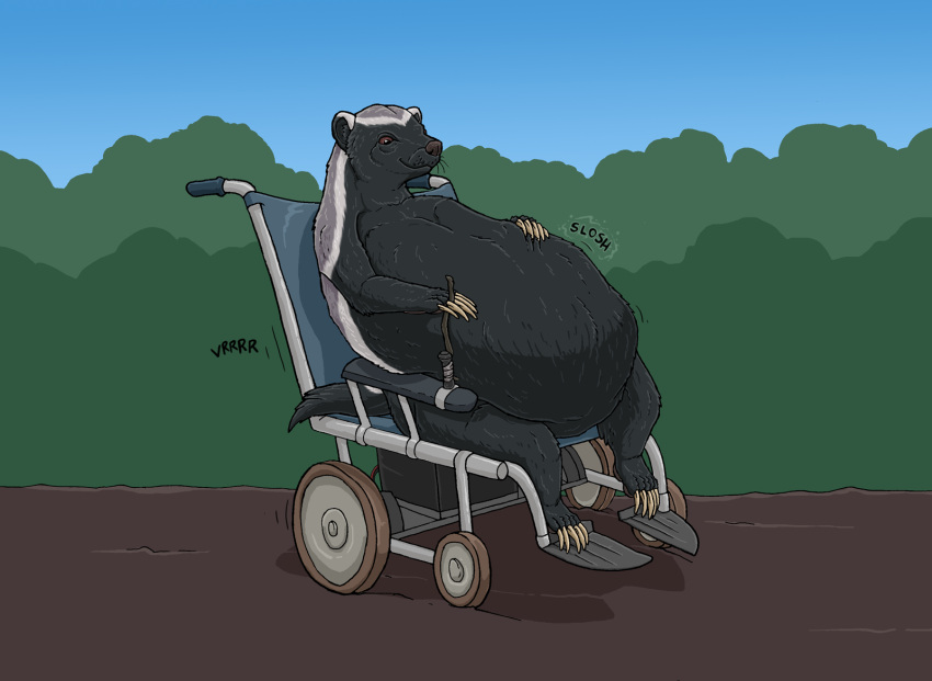 5_toes after_vore badger belly black_body black_fur brown_eyes brown_nose feet feral fur hi_res honey_badger male mammal mdogo multicolored_body multicolored_fur mustelid musteline outside plant shaded shrub sitting solo strega tail toes vehicle vore wheelchair whiskers