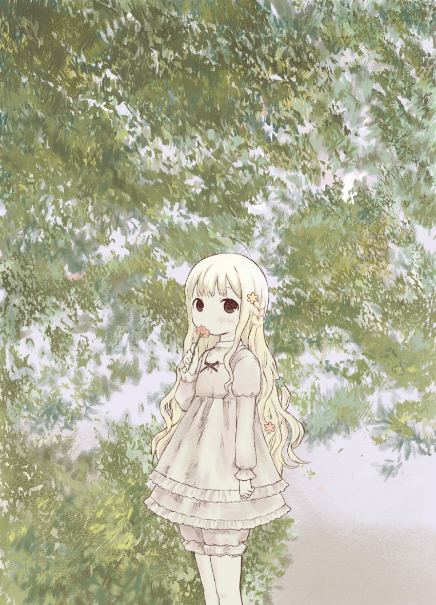 1girl blonde_hair bloomers dress feet_out_of_frame flower frilled_dress frills hair_flower hair_ornament hand_up highres holding holding_flower long_hair long_sleeves looking_at_viewer original outdoors shiromomo_sofuto short_dress solo standing tree wavy_hair white_bloomers white_dress