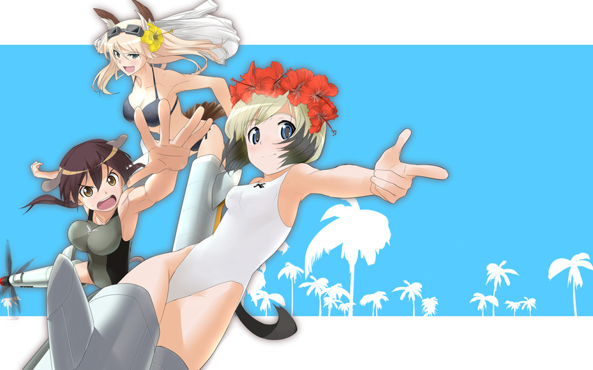 animal_ears armpits bikini black_hair blonde_hair blue_eyes blush breasts brown_eyes brown_hair collarbone erica_hartmann flower foreshortening gertrud_barkhorn halterneck hanna-justina_marseille head_wreath hibiscus kanchou_(karaja) medium_breasts multicolored_hair multiple_girls one-piece_swimsuit open_mouth outstretched_hand pointing short_hair smile strike_witches striker_unit swimsuit tail twintails two-tone_hair white_swimsuit world_witches_series