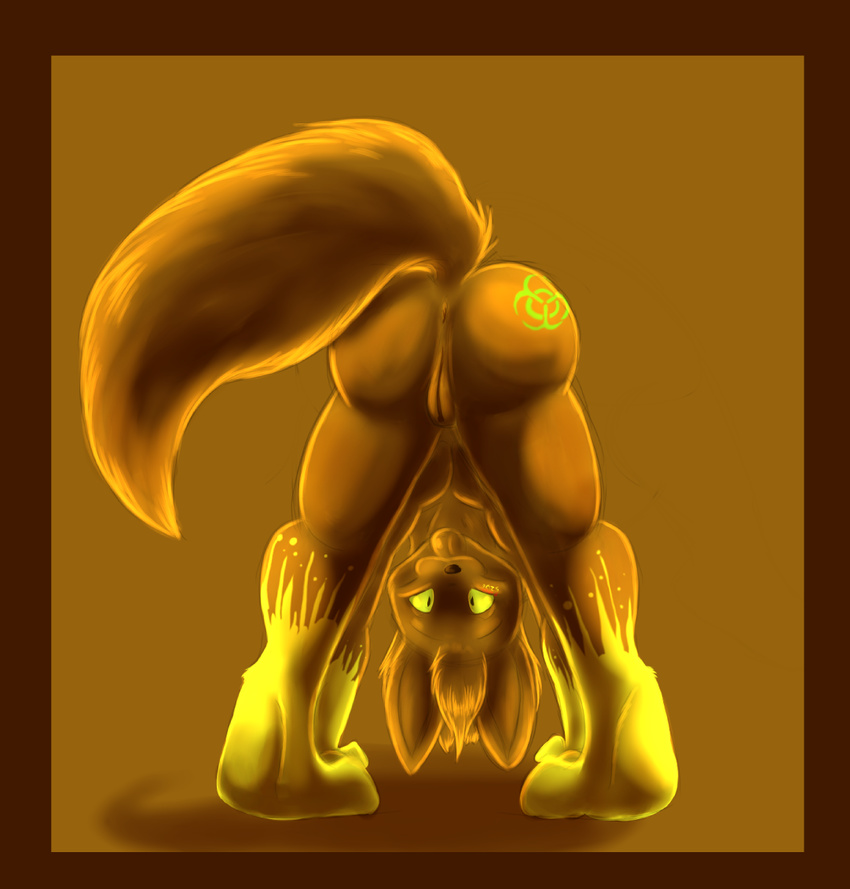 anthro anus bent_over biohazard biohazard_symbol bloo border butt canine cuntboy female fox humor intersex looking_at_viewer looking_back mammal myon nude orange orange_theme presenting presenting_hindquarters pussy raised_tail solo tail tongue tongue_out unknown_species warm_colors