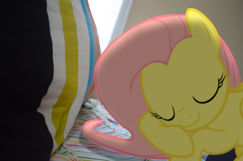 absurd_res cute daytime equine female feral fluttershy_(mlp) friendship_is_magic hair hi_res horse mammal mixed_media my_little_pony pegasus pillow pink_hair ponies_in_real_life pony real sleeping solo wings