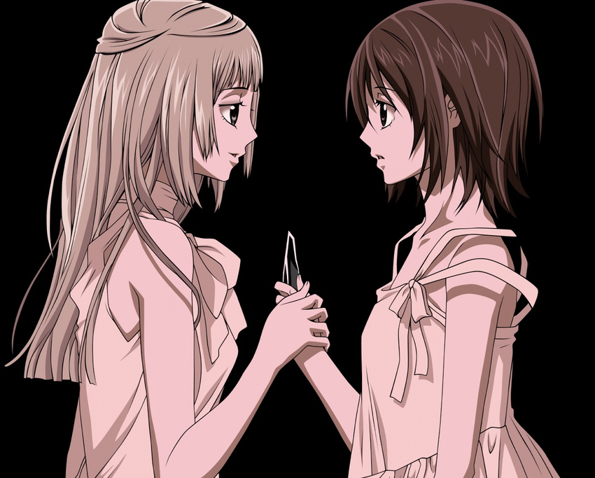 2girls black brown_eyes brown_hair dress gray_eyes kurenai_maria long_hair short_hair vampire_knight vector white_hair yuuki_cross