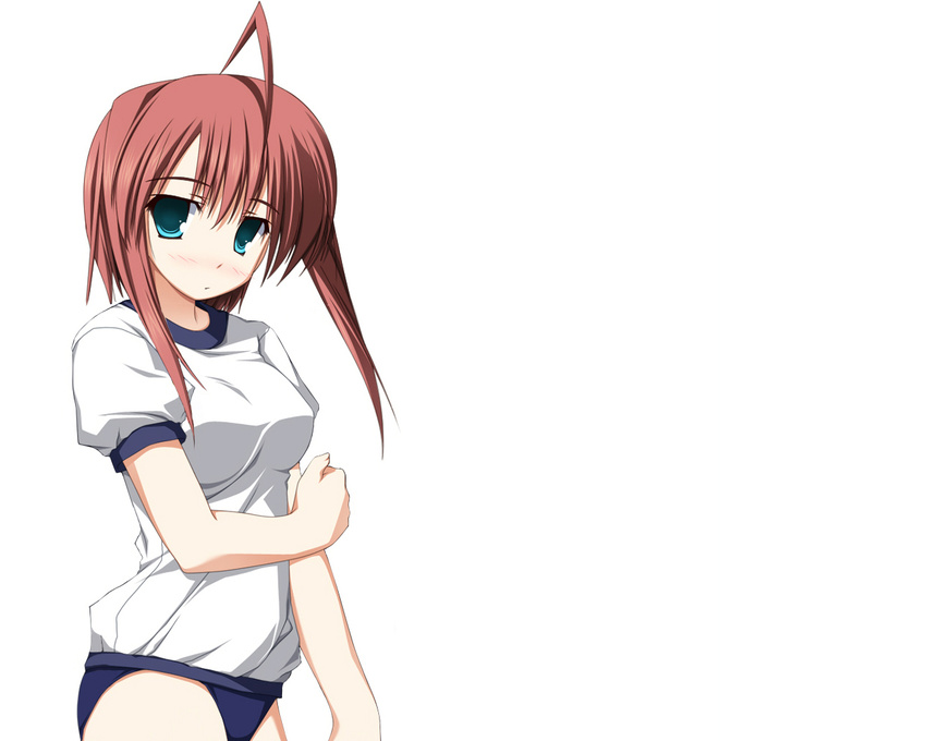 bloomers gym_uniform haruiro_ouse purple_software white