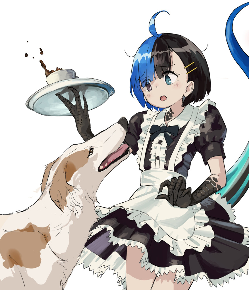 1girl :o alternate_costume apron black_dress black_eyes black_hair black_neckwear blue_eyes blue_hair bow bowtie claws commentary_request cup dog dog_request dress enmaided eyebrows_visible_through_hair hair_ornament hairclip heterochromia highres holding japanese_skink_(kamemaru) kamemaru looking_down maid maid_apron monster_girl multicolored_hair original puffy_short_sleeves puffy_sleeves scared short_hair short_sleeves spilling standing tail teacup thighs tray two-tone_hair waist_apron white_apron