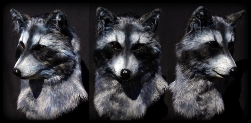 fursuit head mammal photo portrait qarrezel raccoon real realistic