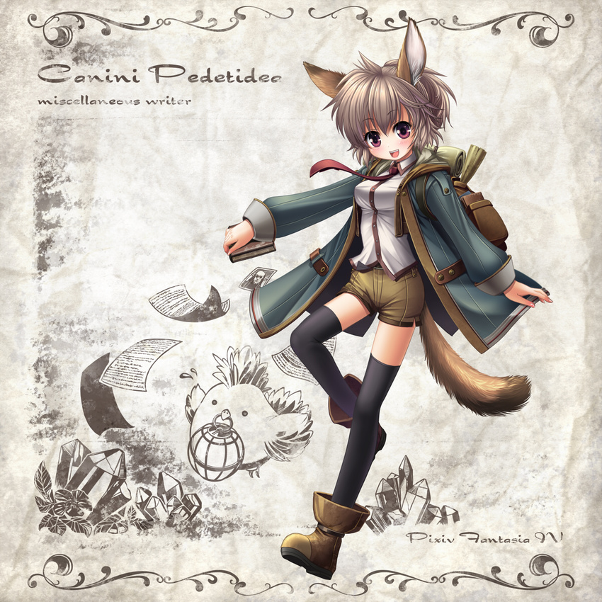 animal_ears bird book boots brown_hair coat crystal dog_ears dog_tail highres kei_kei necktie paper pixiv_fantasia pixiv_fantasia_4 purple_eyes short_hair shorts solo tail thighhighs