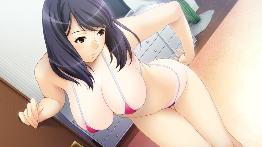 bikini black_hair cleavage game_cg ino sister_scheme_2 swimsuit yanagawa_misaki