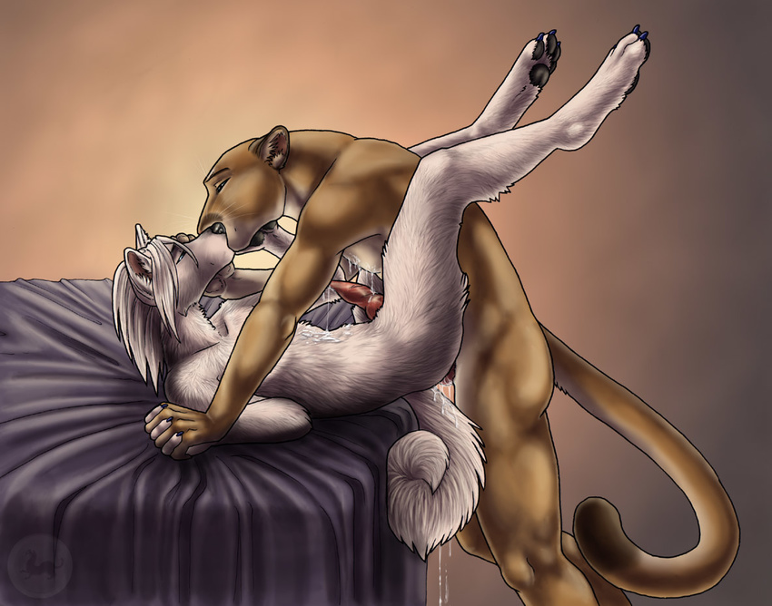 bed canine cougar dog duo feline gay hand_holding husky kissing knot laced_fingers lying male mammal on_back sabretoothed_ermine sex table_lotus_position