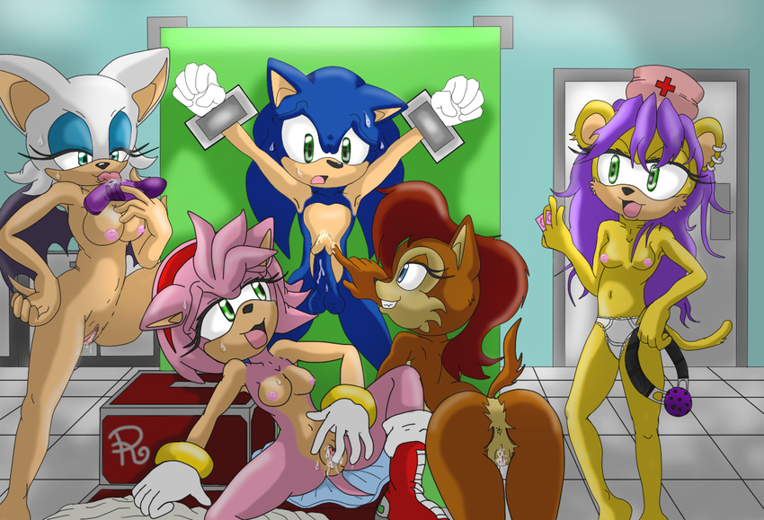 amy_rose mina_mongoose raianonzika rouge_the_bat sally_acorn sonic_team sonic_the_hedgehog