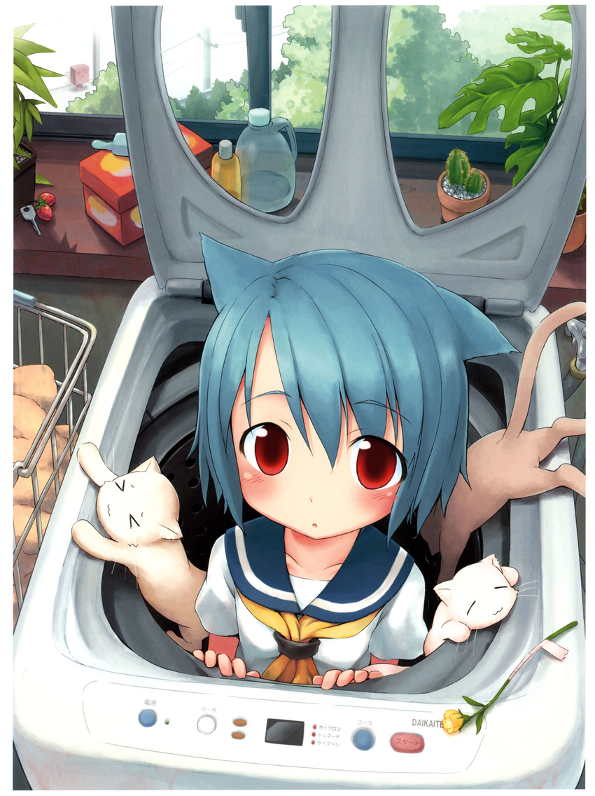 &gt;_&lt; 1girl :3 absurdres aikei_ake ake animal_ears blue_hair blush cat cat_ears eyes_closed flower highres in_container neko nekomimi original red_eyes school_uniform seifuku serafuku short_hair solo too_many_cats washing_machine x3