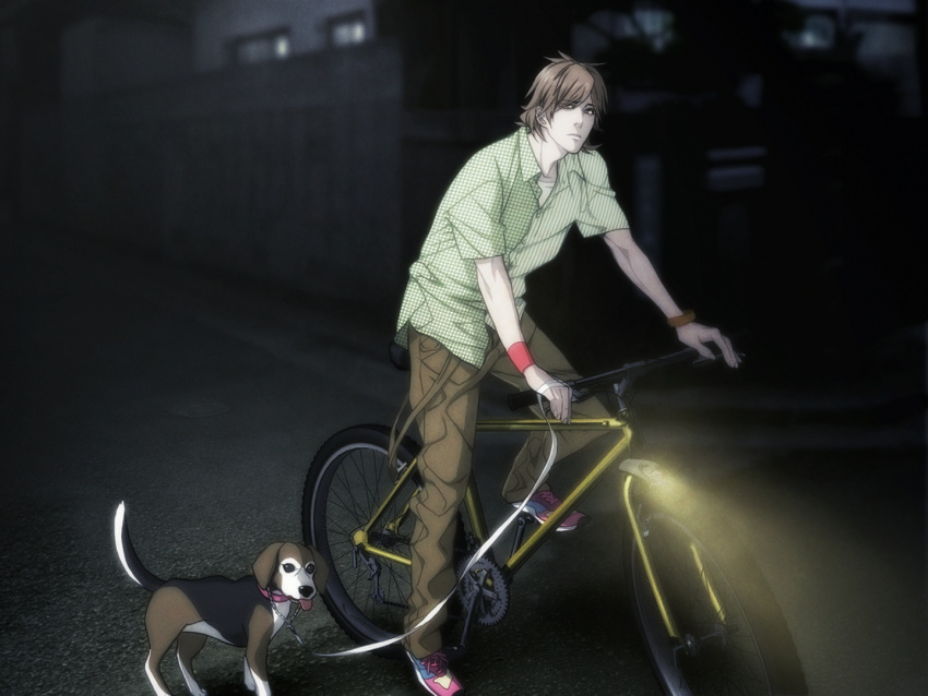 1boy bicycle brown_eyes brown_hair brown_pants building dog eyes_visible_through_hair fence game_cg green_shirt leash legs mita_makoto non-web_source on_vehicle outdoors pants red_wristband road shirt shoes short_hair short_sleeves sneakers solo street sweet_pool wheel wooden_fence worried wristband