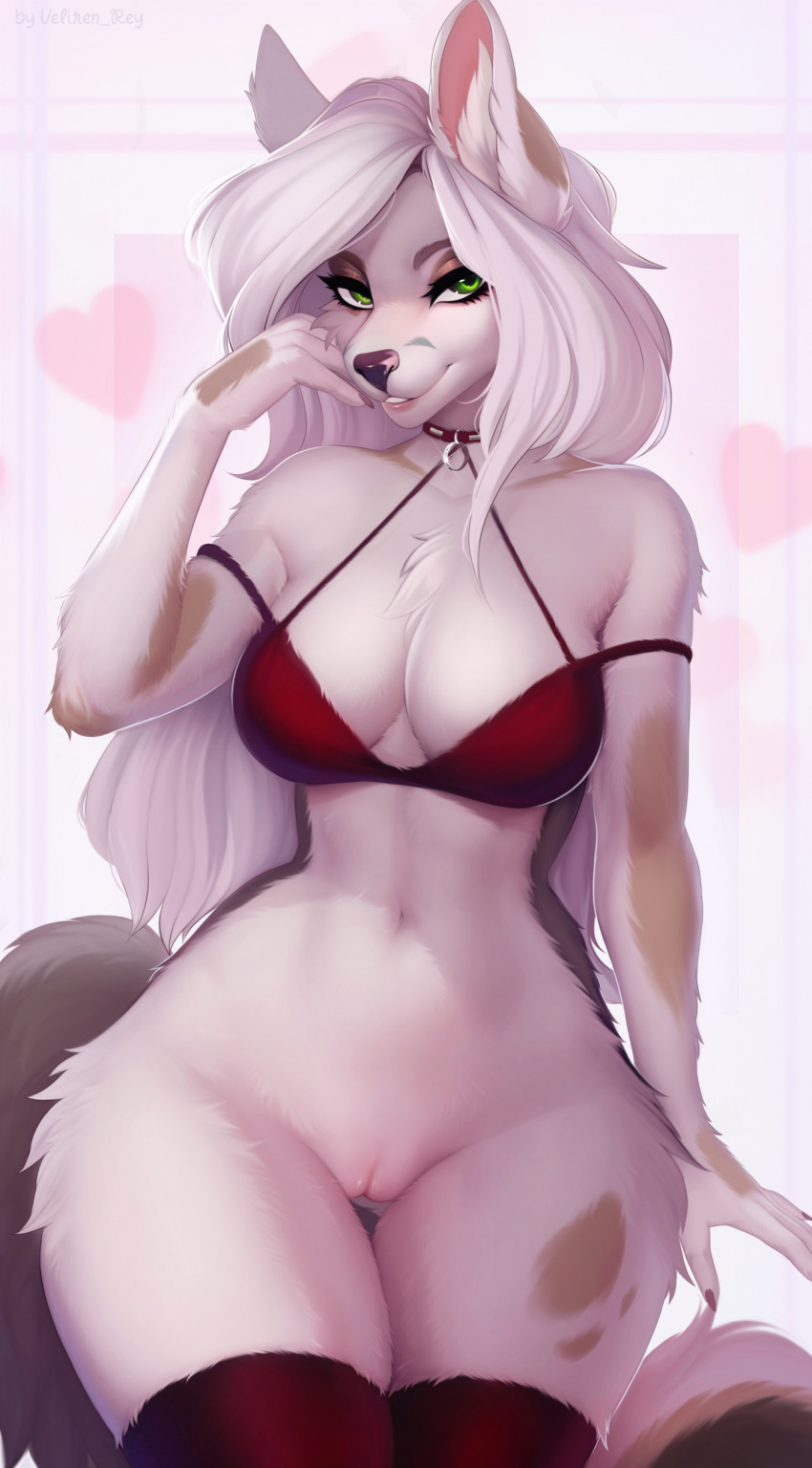 absurd_res anthro bedroom_eyes bottomless bra breasts canid canine clothed clothing collar female front_view genitals green_eyes hair hi_res inner_ear_fluff legwear looking_at_viewer mammal narrowed_eyes pussy seductive smile solo standing thigh_gap thigh_highs topwear tuft underwear veliren_rey white_hair wide_hips