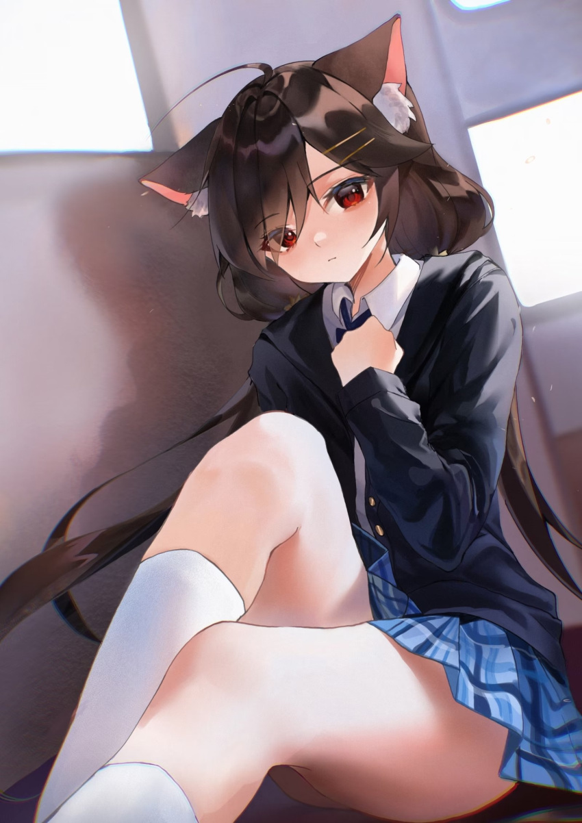 1girl ahoge animal_ear_fluff animal_ears black_jacket blue_skirt blurry brown_hair cat_ears cat_girl cat_tail clenched_hand closed_mouth collared_shirt depth_of_field hair_ornament hairclip highres jacket kneehighs komuer legs long_hair long_sleeves looking_at_viewer low_twintails miniskirt necktie original plaid plaid_skirt pleated_skirt red_eyes school_uniform shirt sitting skirt socks solo tail thighs twintails very_long_hair white_shirt white_socks