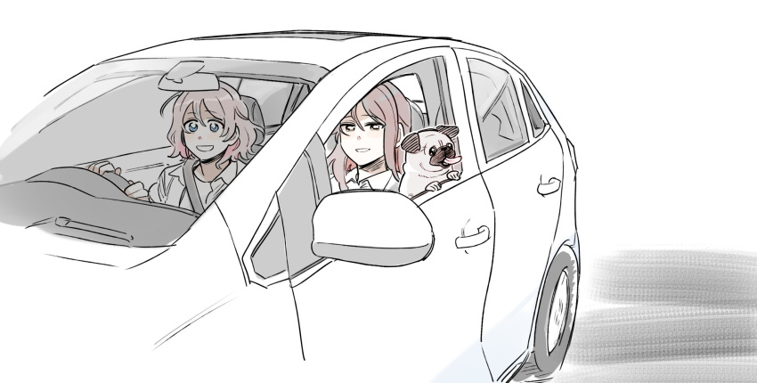 2girls blue_eyes cat collared_shirt commentary_request dog driving grey_hair highres korean_commentary love_live! love_live!_sunshine!! medium_hair multiple_girls open_mouth parted_lips pito_(sh02327) pug red_hair sakurauchi_riko seatbelt shirt simple_background smile watanabe_you white_background