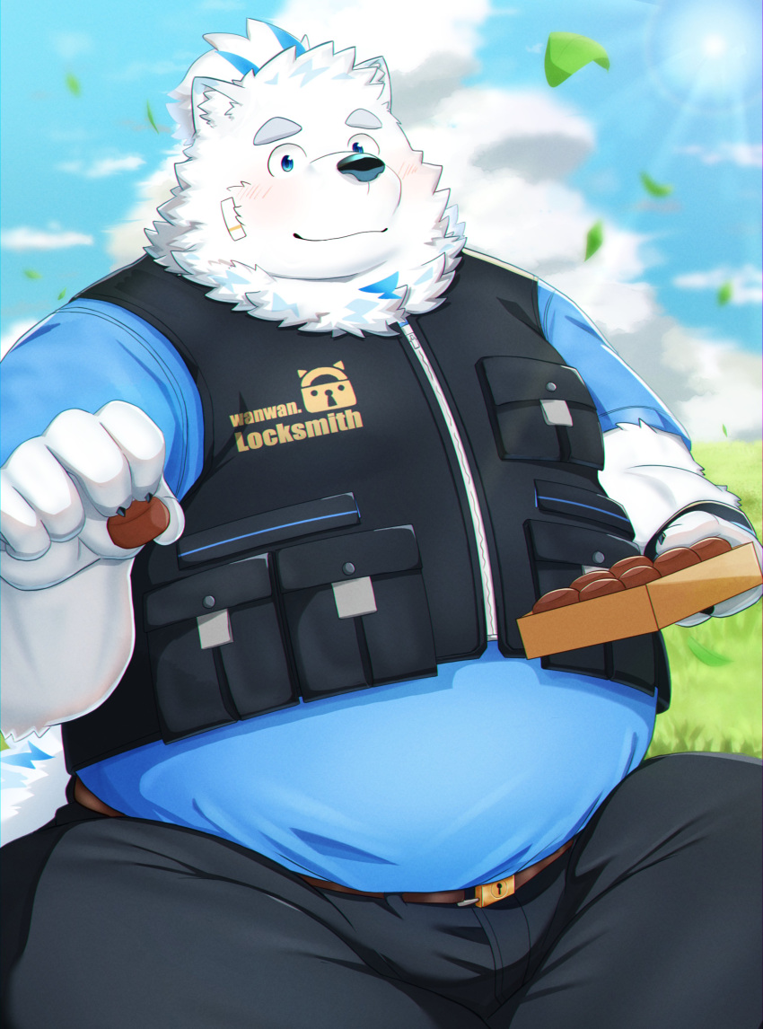 1boy absurdres animal_ears bandaid bara belly blue_fur blush bulge chocolate cowboy_shot dog_boy dog_ears fat fat_man food furry furry_male grass highres holding holding_chocolate holding_food incoming_food live_a_hero looking_at_viewer male_focus multicolored_hair nyaoru_(ruoain) outdoors pants smile solo streaked_hair thick_eyebrows valentine white_fur wind yohack