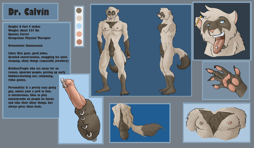 drcalvin erection ferret genital_piercing hi_res male mammal model_sheet mustelid nipple_piercing nipple_ring nipples penis penis_piercing piercing prince_albert purplepardus ref_sheet ring