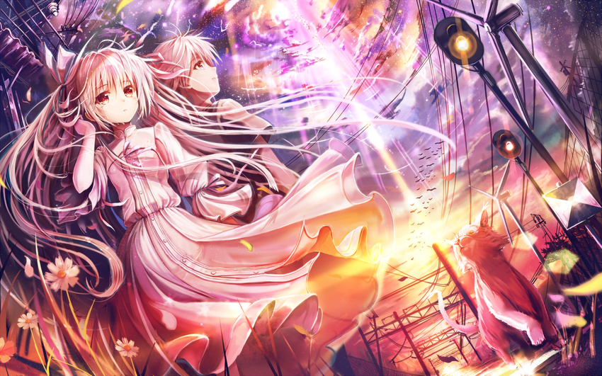 1girl akabane_(zebrasmise) bird brother_and_sister brown_eyes cat cloud dress dutch_angle flower hair_ribbon hair_tucking highres kasugano_haruka kasugano_sora lamp long_hair power_lines ribbon short_hair siblings silver_hair sky star_(sky) sunlight tears twins wallpaper white_dress yosuga_no_sora