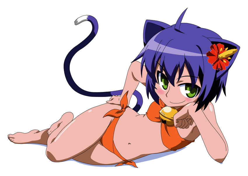 bikini kyouran_kazoku_nikki midarezaki_kyouka mizugi nekomimi tail