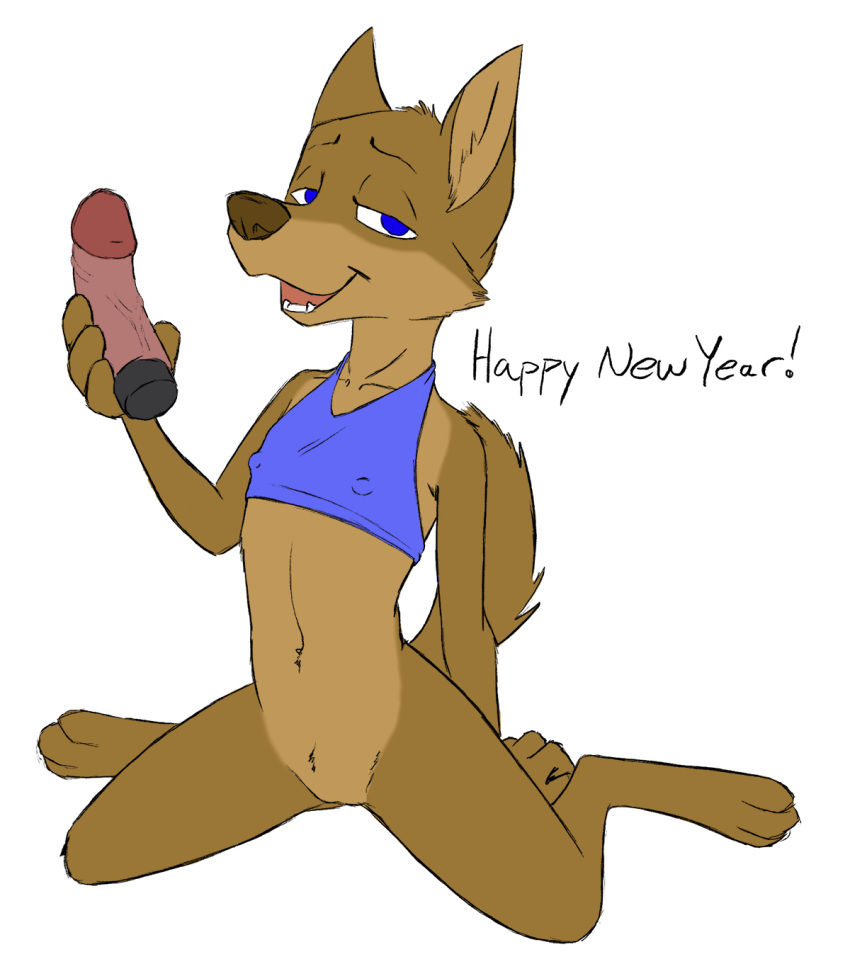 anthro blue_eyes bottomless brown_fur canine clothed clothing color_edit colored crop_top cub dildo dog edit felicity_longis female fur half-closed_eyes hi_res holidays kneeling looking_at_viewer mammal misterpickleman navel new_year nipple_bulge open_mouth pussy sex_toy shirt simple_background solo taylor_knight text young