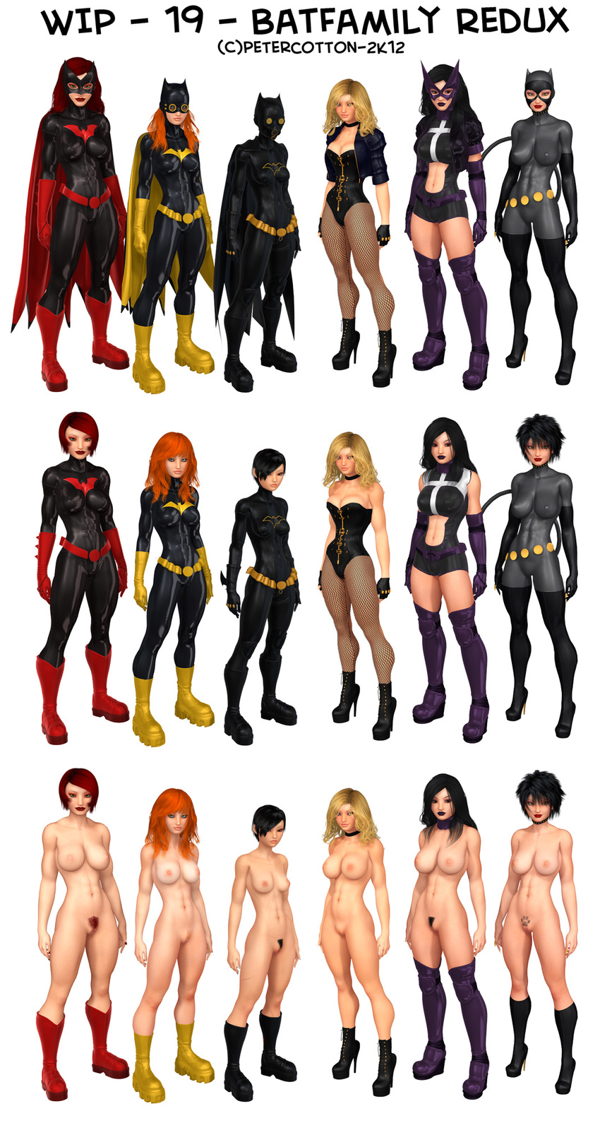 barbara_gordon batgirl batwoman black_bat black_canary cassandra_cain catwoman dc huntress petercotton