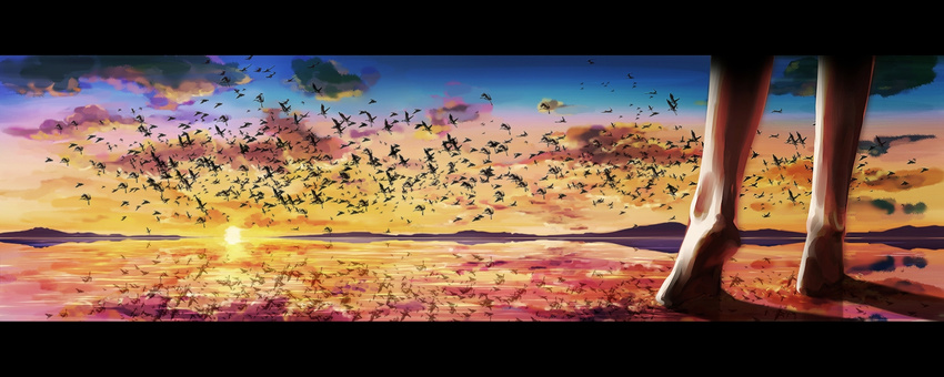 bird cloud flock highres landscape letterboxed original reflection same_2009 scenery sky solo sunset