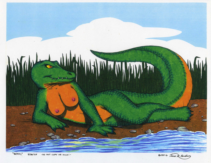 alligator anthro beryl breasts female james_m_hardiman nipples nude pinup pose pussy reptile scalie solo water