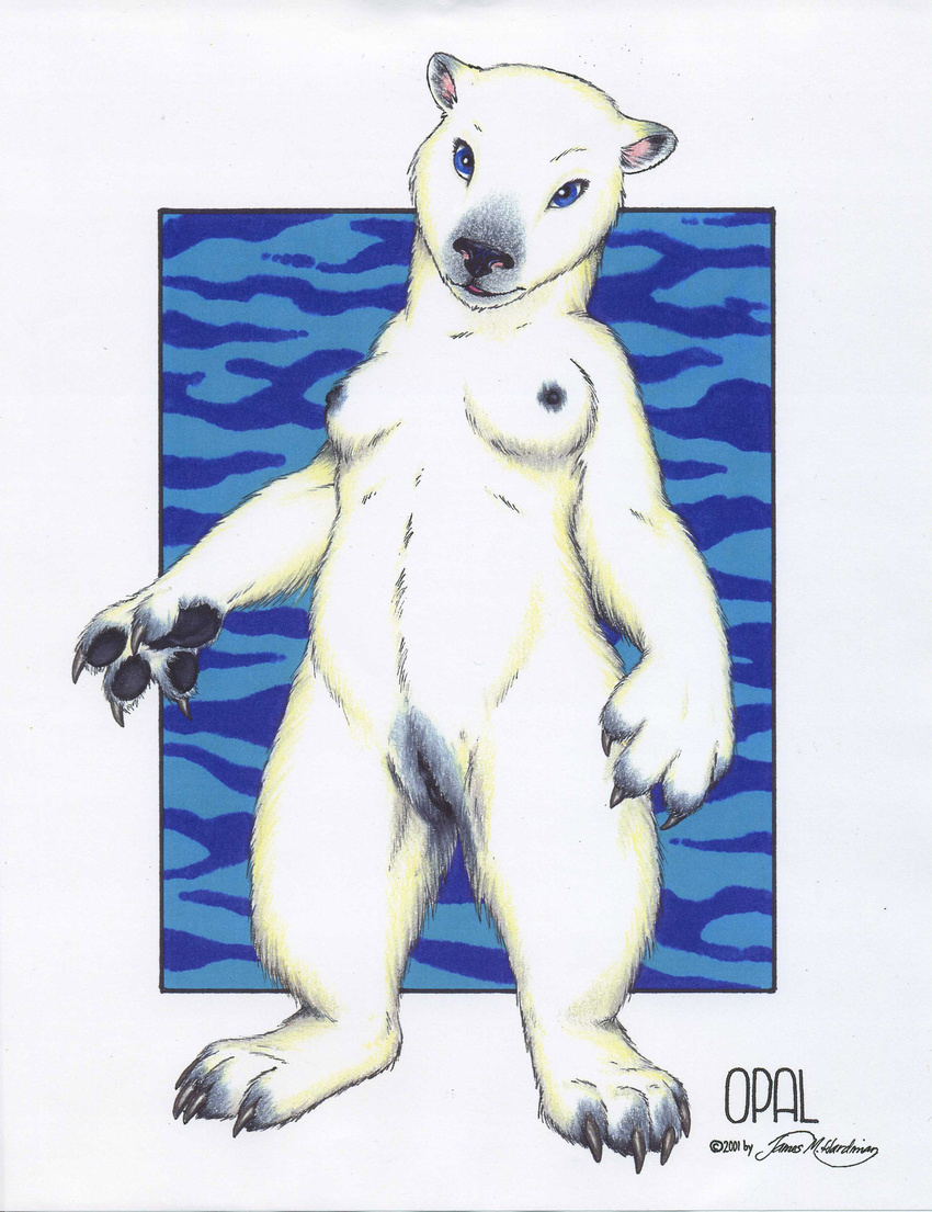 anthro bear breasts claws cute female fur james_m_hardiman looking_at_viewer mammal nipples nude opal polar_bear pussy solo standing white_fur