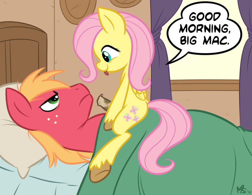 &#3232;_&#3232; animal_genitalia bed big_macintosh_(mlp) blue_eyes cute cutie_mark dickgirl english_text equine erection female feral fluttershy_(mlp) friendship_is_magic green_eyes hair horse horsecock intersex long_hair male mammal megasweet my_little_pony pegasus penis pillow pink_hair pony text tongue tongue_out tumblr wings