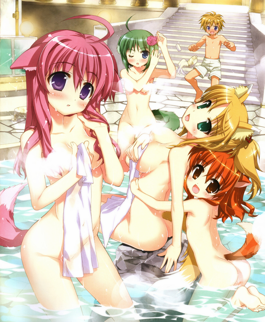 4girls :d absurdres ahoge animal_ears ass barefoot blonde_hair blue_eyes blush breasts brown_eyes brown_hair censored cleavage convenient_censoring dog_days dog_ears dog_girl dog_tail eclair_martinozzi feet fingernails flat_chest flower fox_ears fox_tail fujima_takuya green_eyes green_hair hair_flower hair_ornament highres long_hair looking_at_viewer medium_breasts millhiore_f_biscotti multiple_girls navel nude one_eye_closed onsen open_mouth pink_hair ponytail purple_eyes ricotta_elmar scan shinku_izumi short_hair shorts sideboob sitting small_breasts smile soap steam steam_censor tail towel wading wet yukikaze_panettone