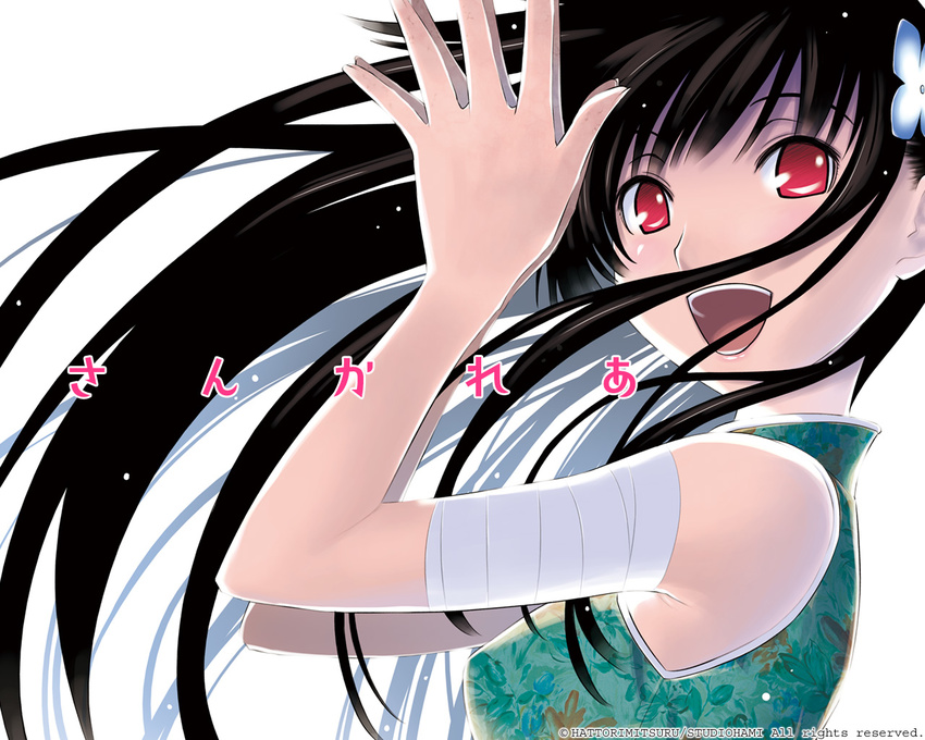 :d bandages bangs bare_shoulders black_hair china_dress chinese_clothes copyright_name dress floating_hair flower from_side green_dress hair_flower hair_ornament halterneck hands_together happy hattori_mitsuru hydrangea long_hair looking_at_viewer looking_back official_art open_mouth red_eyes sanka_rea sankarea simple_background smile solo upper_body very_long_hair wallpaper watermark white_background