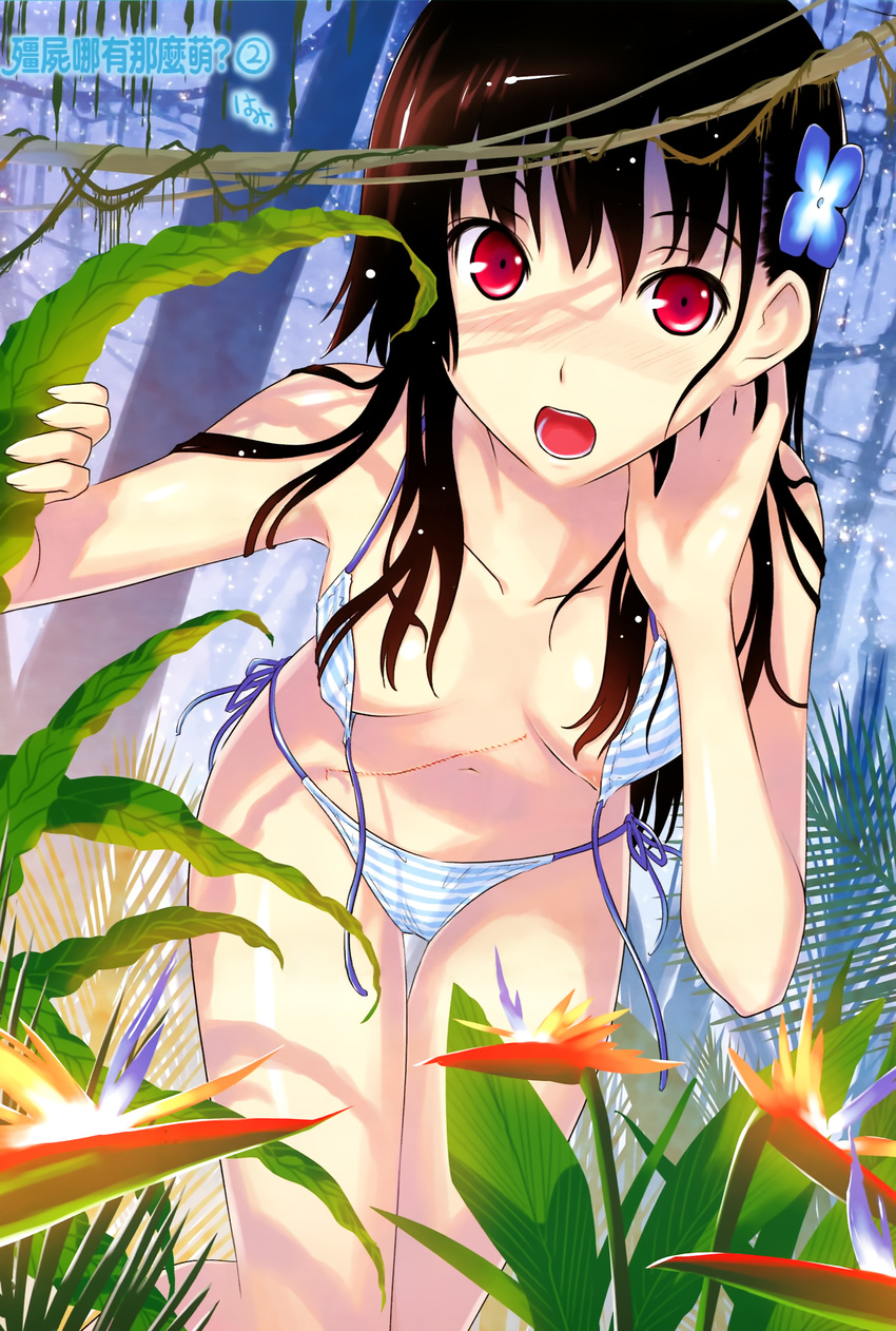 areola bikini hattori_mitsuru sanka_rea sankarea swimsuits wardrobe_malfunction