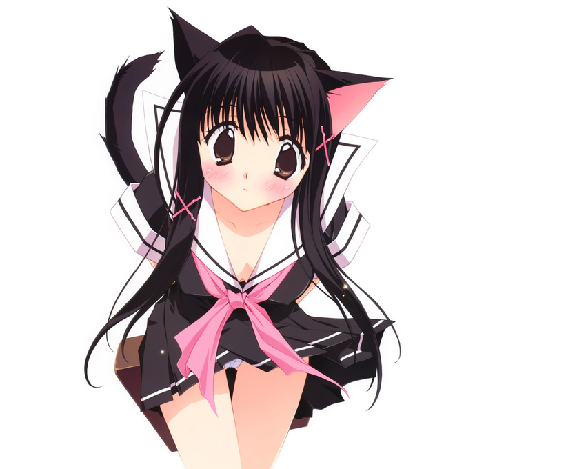 animal_ears black_hair catgirl cleavage kadoi_aya original panties seifuku skirt tail underwear upskirt white