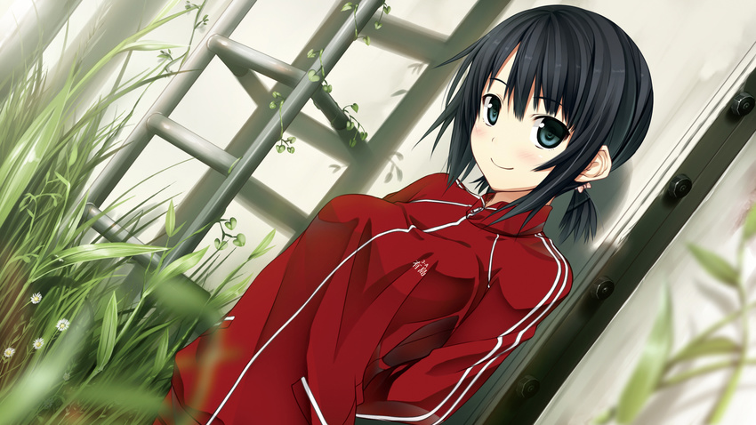 arishima_alice arms_behind_back black_hair blue_eyes blurry blush breasts cura depth_of_field dutch_angle game_cg highres looking_at_viewer medium_breasts monobeno short_hair short_ponytail smile solo track_suit wallpaper