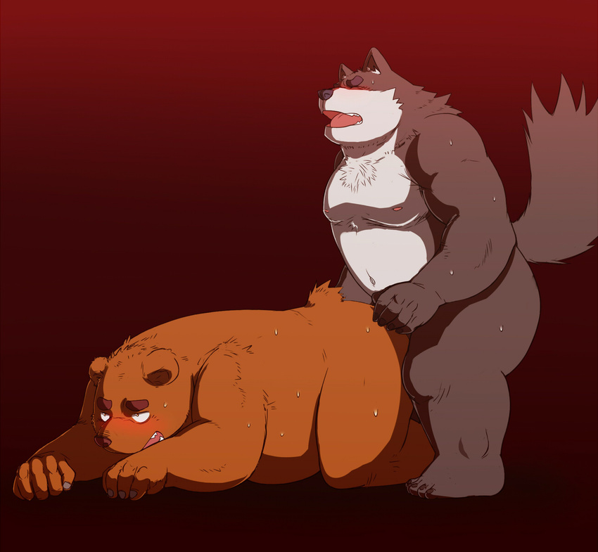 ????????? anal anal_penetration anthro bear blush canine chubby duo eyes_closed fur gay grizzly_bear jamba kemono male mammal overweight penetration plain_background red_background sex standing sweat wolf