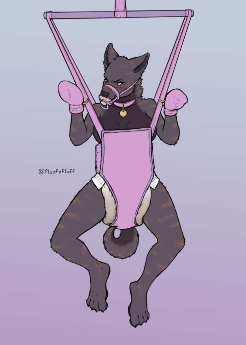 absurd_res annoyed anthro arms_tied baby_bouncer bdsm black_body black_fur black_nose black_pawpads blush bodily_fluids bondage bound breasts canid canine canis clothed clothing collar cuff_(restraint) diaper diaper_only domestic_dog dutch_shepherd embarrassed feet female floofnfluff forced fur gag genital_fluids herding_dog hi_res infantilism jasmine_(draugr) looking_at_viewer mammal object_in_mouth pacifier pacifier_gag pacifier_in_mouth pastoral_dog pawpads paws restraints sheepdog signature solo suspension tail tail_between_legs toes topless urine wet_diaper wetting white_diaper