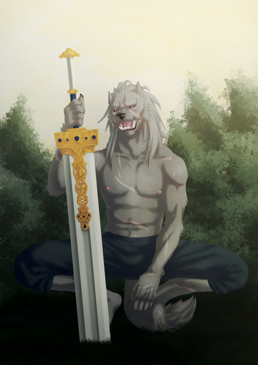 absurd_res animal_humanoid anthro athletic blade blaidd_(elden_ring) bottomwear canid canid_humanoid canine canine_humanoid canis clothed clothing crouching elden_ring fangs feet fingers fromsoftware fur grey_body hair hi_res humanoid looking_at_viewer male mammal mammal_humanoid melee_weapon muscular muscular_male nipples open_mouth pants pecs sammaeel scar shirtless solo spread_legs spreading sword tail teeth tongue weapon wolf wolf_humanoid