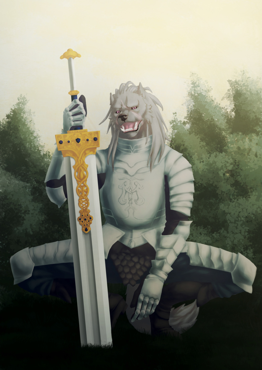 absurd_res anthro armor blade blaidd_(elden_ring) canid canine canis clothed clothing crouching elden_ring fangs fingers fromsoftware fur grey_body hair hi_res humanoid looking_at_viewer male mammal melee_weapon open_mouth sammaeel solo spread_legs spreading sword tail teeth weapon wolf