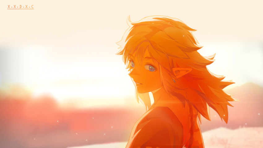 1boy absurdres artist_name blonde_hair blue_eyes blurry blurry_background earrings hair_between_eyes highres jewelry light_smile link looking_at_viewer male_focus medium_hair outdoors parted_lips pointy_ears solo the_legend_of_zelda the_legend_of_zelda:_tears_of_the_kingdom upper_body wind x.x.d.x.c