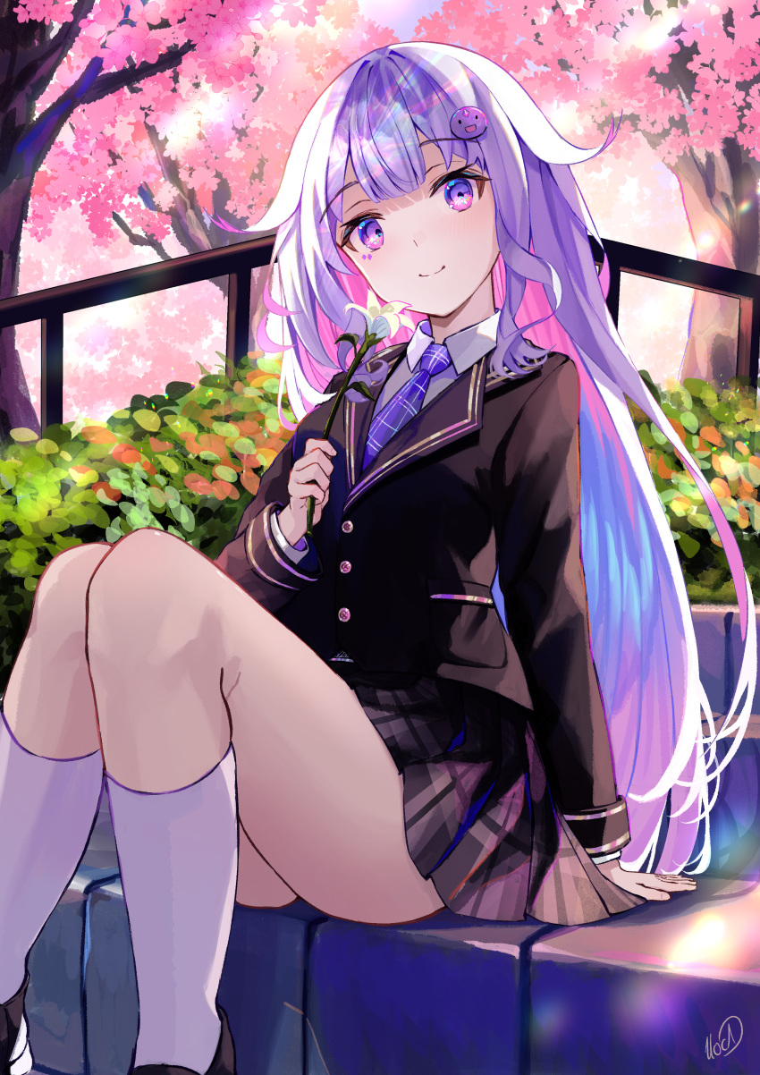 1girl absurdres alternate_costume black_jacket blazer blue_hair blue_necktie blush cherry_blossoms closed_mouth english_commentary eyelashes feet_out_of_frame flower highres holding holding_flower hololive hololive_english jacket knees_up koseki_bijou long_hair looking_at_viewer multicolored_hair necktie outdoors pink_hair pleated_skirt purple_eyes purple_hair school_uniform sitting skirt smile socks solo thighs tree uoca very_long_hair virtual_youtuber white_flower white_socks