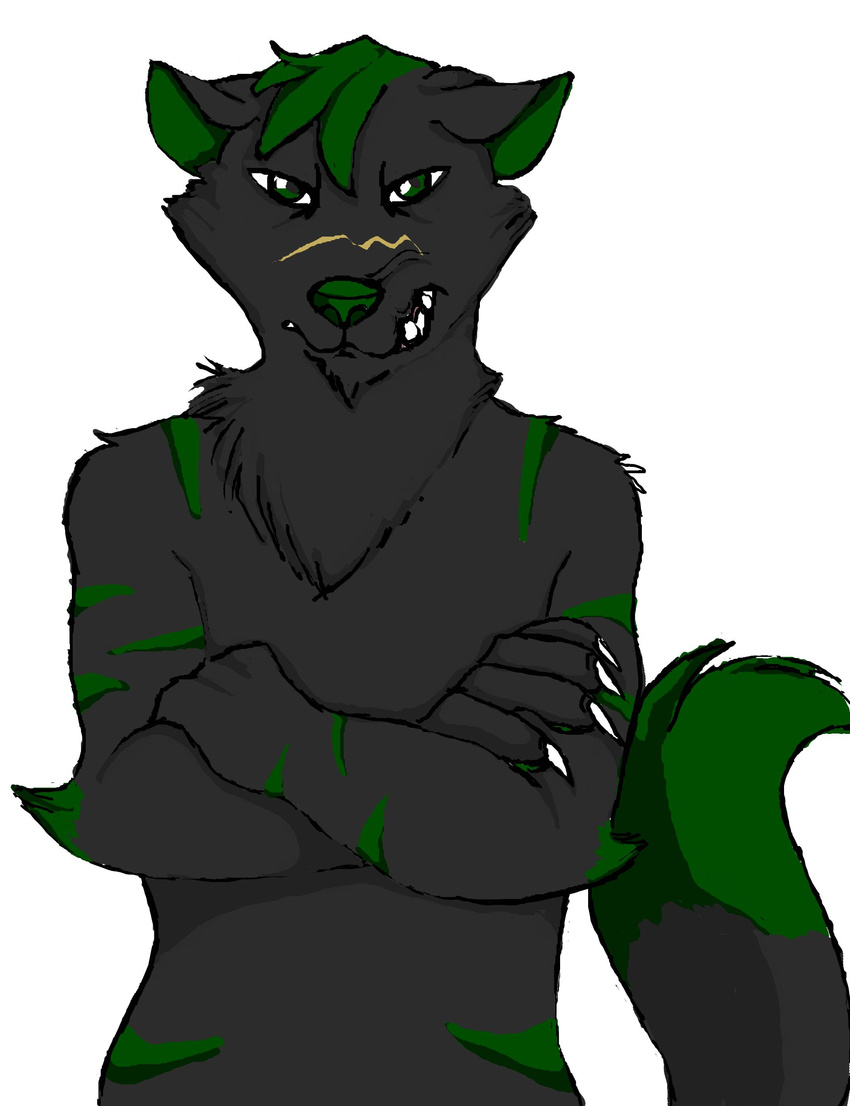 avian black black_fur canine canines claws crossed_arms fur giano_"raven"_blakwulf gianocarlo green green_eyes green_hair green_markings green_nose hair hair_tuft huge mammal markings miserable plain_background raven scar stripes teeth timber_wolf wolf