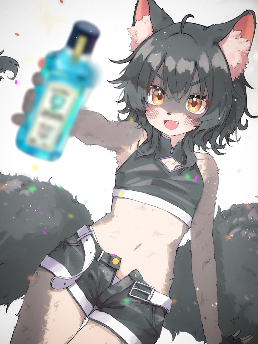 1girl :d absurdres ahoge animal_ear_fluff animal_ears animal_nose belt black_gloves black_hair black_shirt black_shorts blurry blurry_foreground blush body_fur bottle breasts brown_eyes clothing_cutout crop_top drink fang fingerless_gloves flat_chest furry furry_female gloves grey_fur highres holding holding_bottle holding_drink ijipiku looking_at_viewer medium_hair midriff navel open_belt open_fly open_mouth original outstretched_arm panties raccoon_girl ramune reaching reaching_towards_viewer shirt short_hair short_shorts shorts sleeveless sleeveless_shirt small_breasts smile solo tail thighs underwear v-shaped_eyebrows white_belt wolf_girl yellow_eyes
