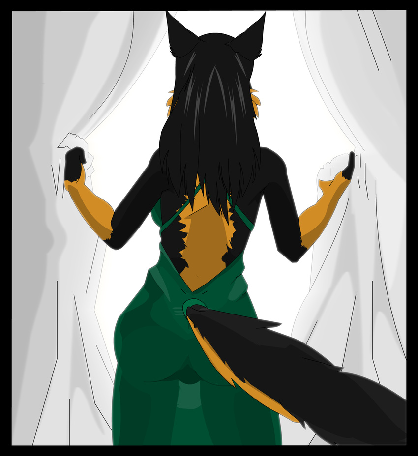 anthro back black_hair border_collie butt canine darkghost dog ears female hair mammal solo window