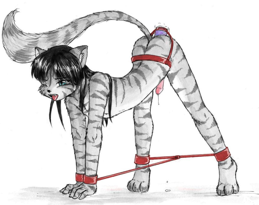 blackdragon-sama cat dildo feline male mammal precum sex_toy solo vibrator