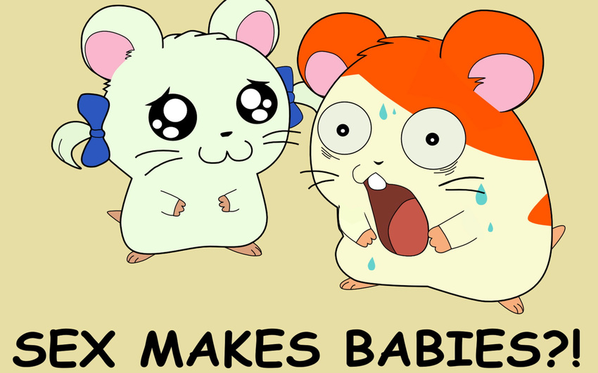 bijou bow_tie cute english_text female fuzzy hamster hamtaro humor image_macro male mammal rodent shocked surprise sweat text the_more_you_know unknown_artist