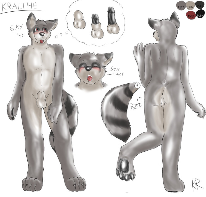 balls beige_fur black_penis blush butt eye_markings fur grey_fur kralthe kralthe_(artist) male mammal model_sheet penis raccoon red_eyes sheath solo tan_fur tongue