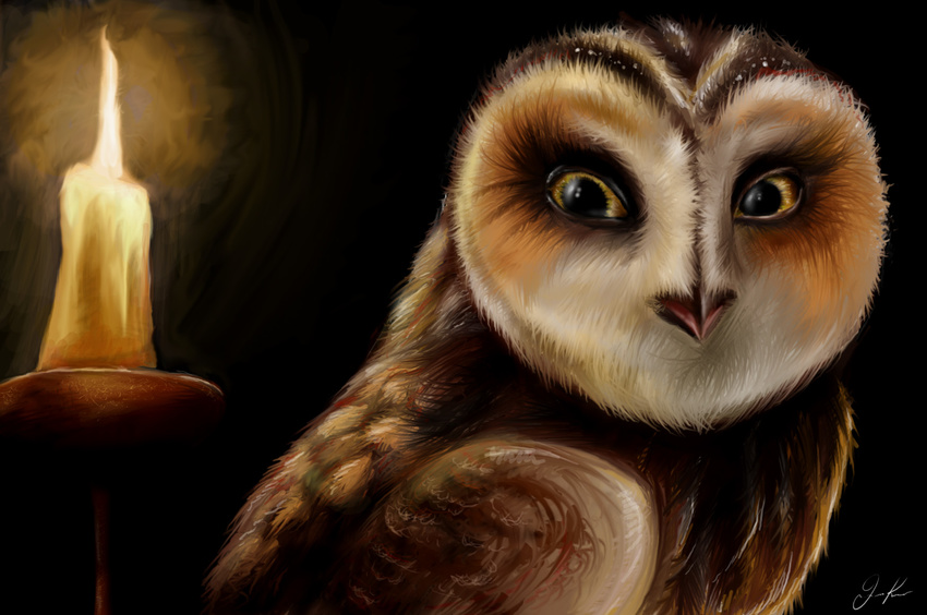 barn_owl female feral gabriellegrotte guardians_of_ga'hoole guardians_of_ga'hoole otulissa owl solo