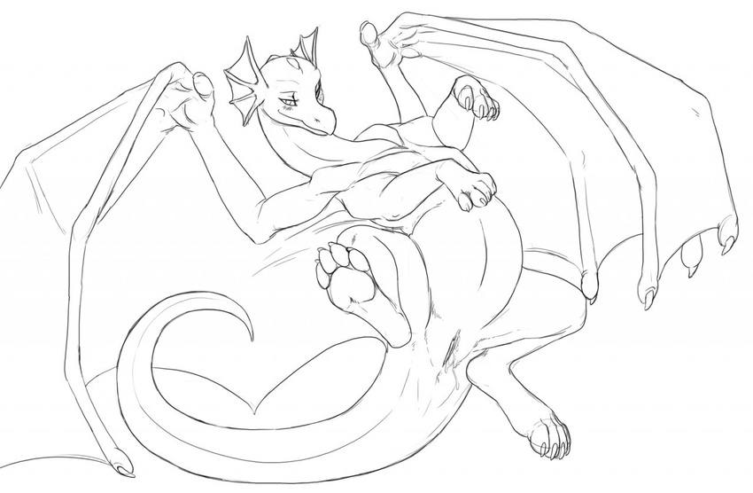 black_and_white blush claws dragon female feral frills hindpaw looking_at_viewer lying monochrome nostrils on_back paws plain_background pregnant pussy pussy_juice reptile scalie sefeiren sketch slitherette solo spikes spread_legs spreading white_background wings