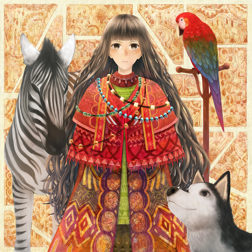 animal bangs bird blunt_bangs brown_eyes brown_hair dog highres jewelry long_hair macaw necklace original parrot parted_lips poncho red-and-green_macaw sakimori_(hououbds) very_long_hair zebra